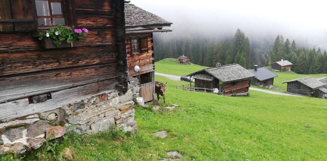Appartements Plattei Sankt Gallenkirch Kültér fotó