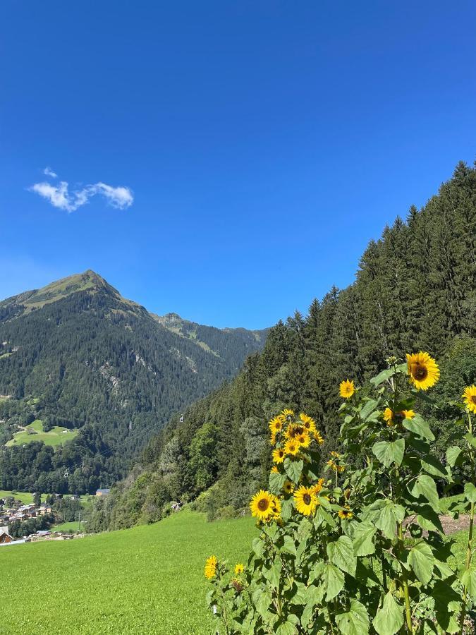 Appartements Plattei Sankt Gallenkirch Kültér fotó